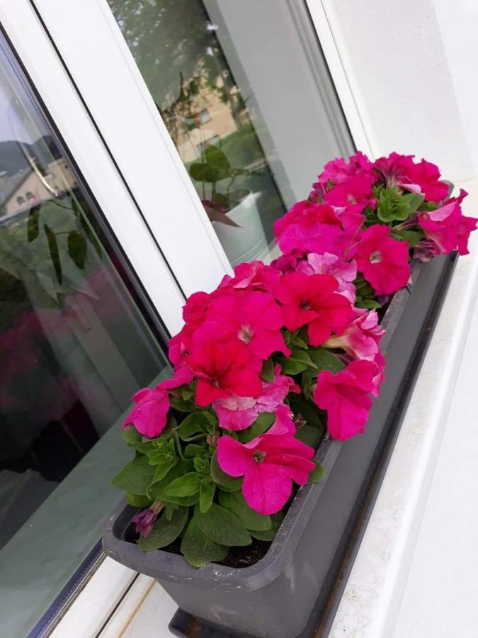 Mistel Apartman Bodensdorf Luaran gambar
